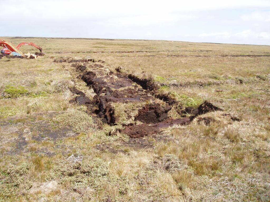 Lee Bogs a Falklands Digger